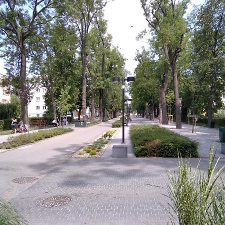 Apartament Zdroj 부스코-즈드로이 외부 사진